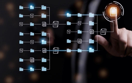 Mapeo y automatización de procesos